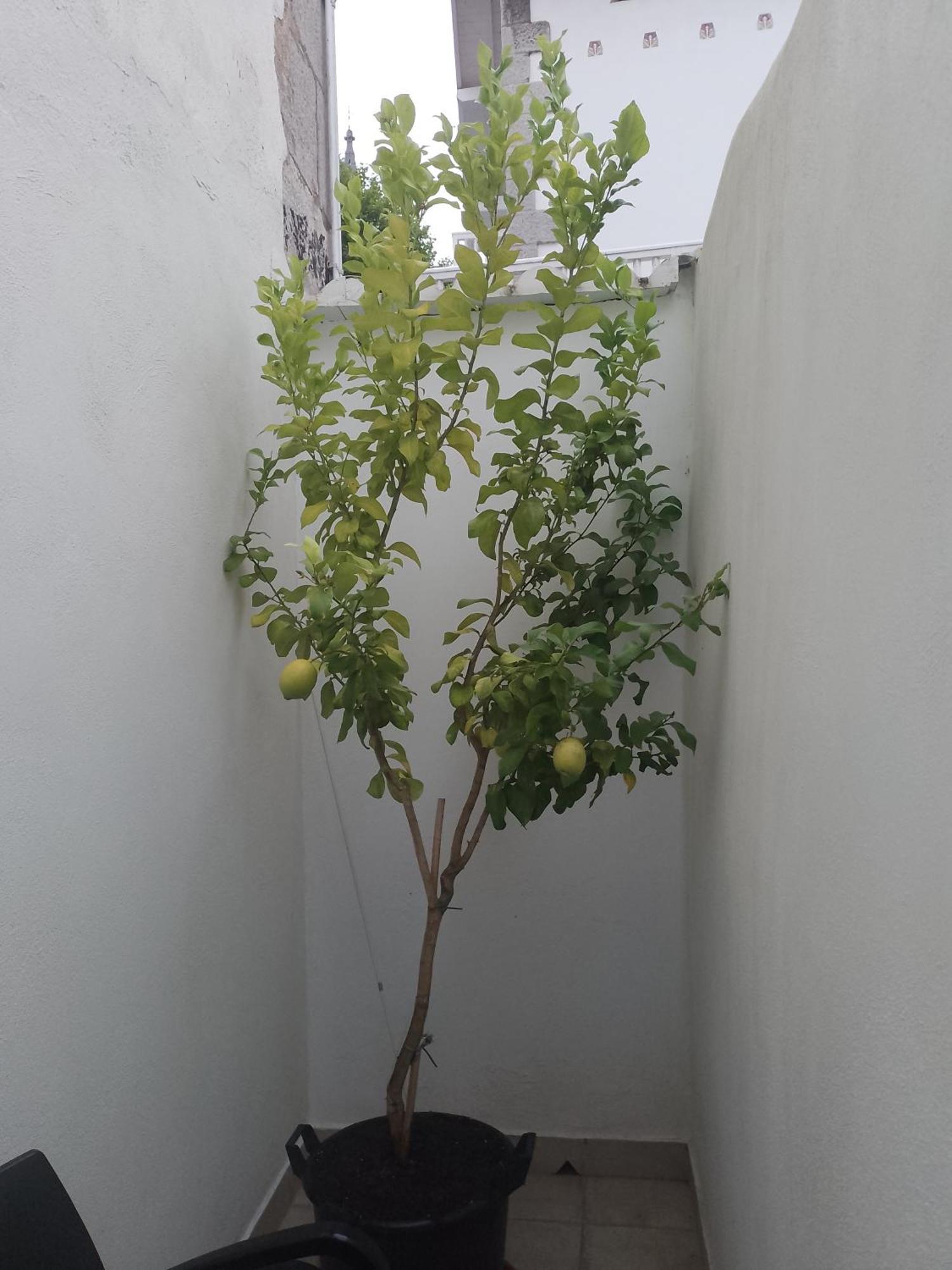 蒙达卡Atalaya公寓 外观 照片
